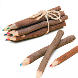 BS2 namaste accessory gifts pencils coloured twig flat
